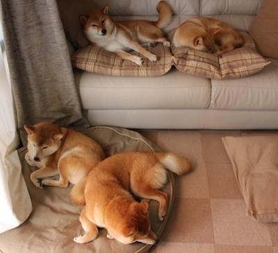 德甲争冠战之夜，穆勒关键时刻站出来