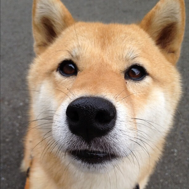 胜利与救赎，威尔士稳胜澳大利亚，黄喜灿铸就自我重生之路