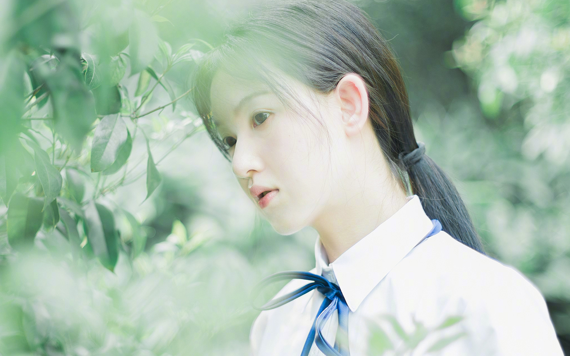 沉默者鸣枪，布鲁诺的证明与袋鼠军团的轻取哲学