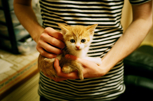 曼城攻势如潮碾压紫百合,厄德高意甲赛场独揽乾坤