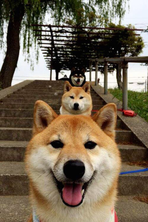 罗德里戈一锤定音,那不勒斯客场力克冰岛劲旅强势晋级