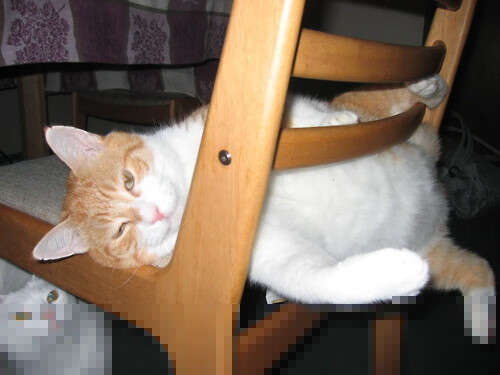 铁血防线与北欧童话,金玟哉的救赎与芬兰的逆袭