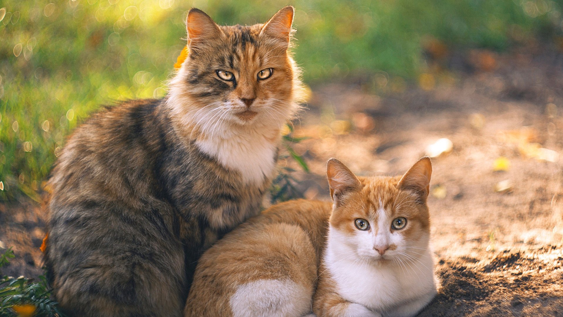 世界排名争夺战之夜,当最后一颗黑球入袋,保罗完成自我救赎