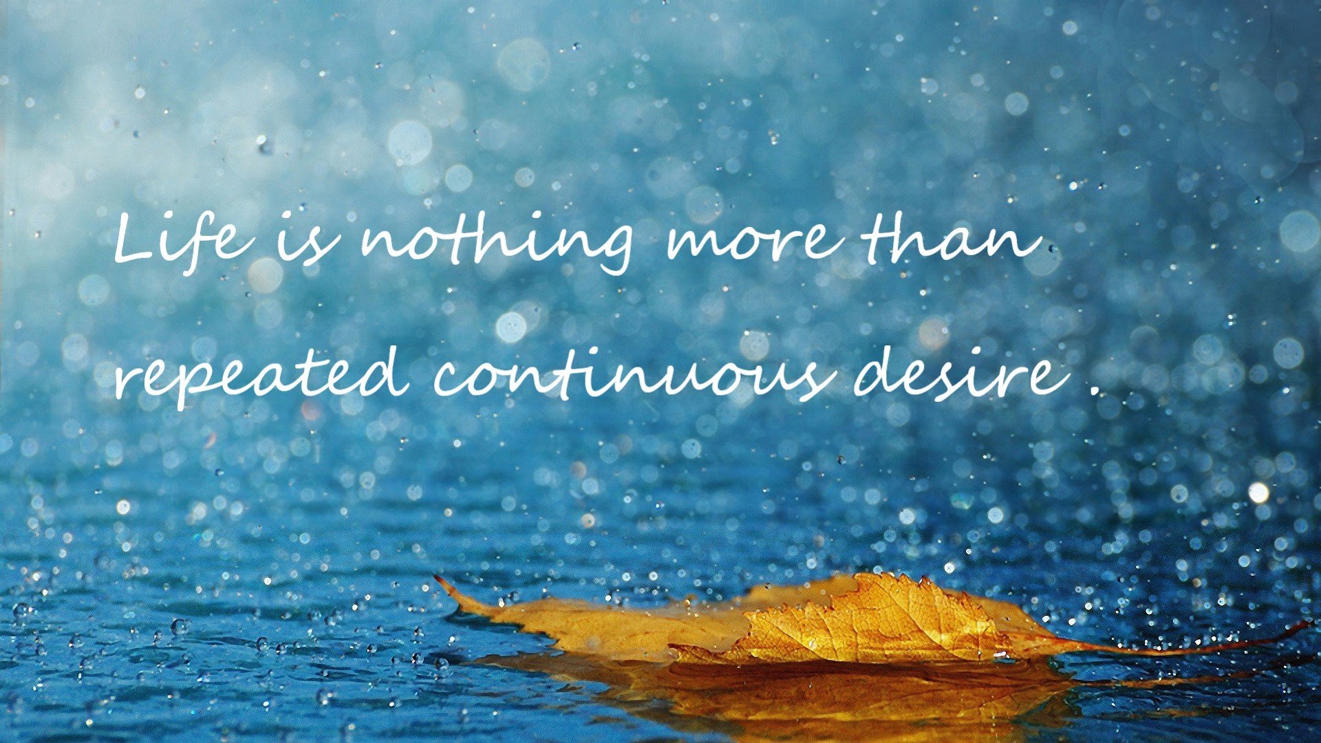 北欧海盗终迎掌舵人,苏亚雷斯闪耀哥德堡之夜