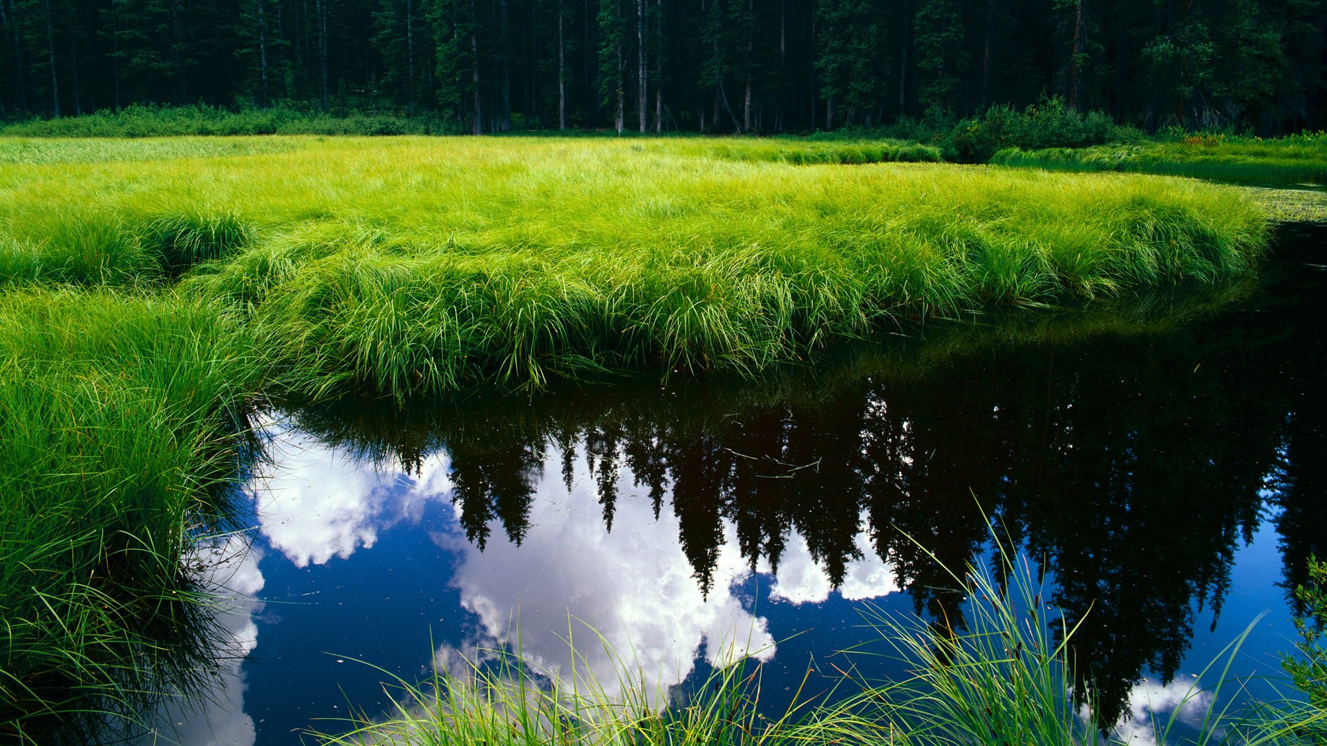 破壁之战，在顶级较量中淬炼突围的勇气