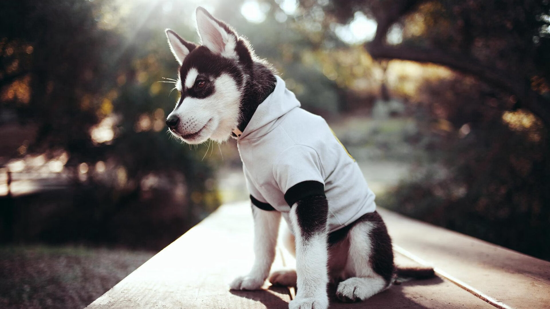 篮坛死神降临绿茵场，欧冠半决赛夜，杜兰特如何锁死对手