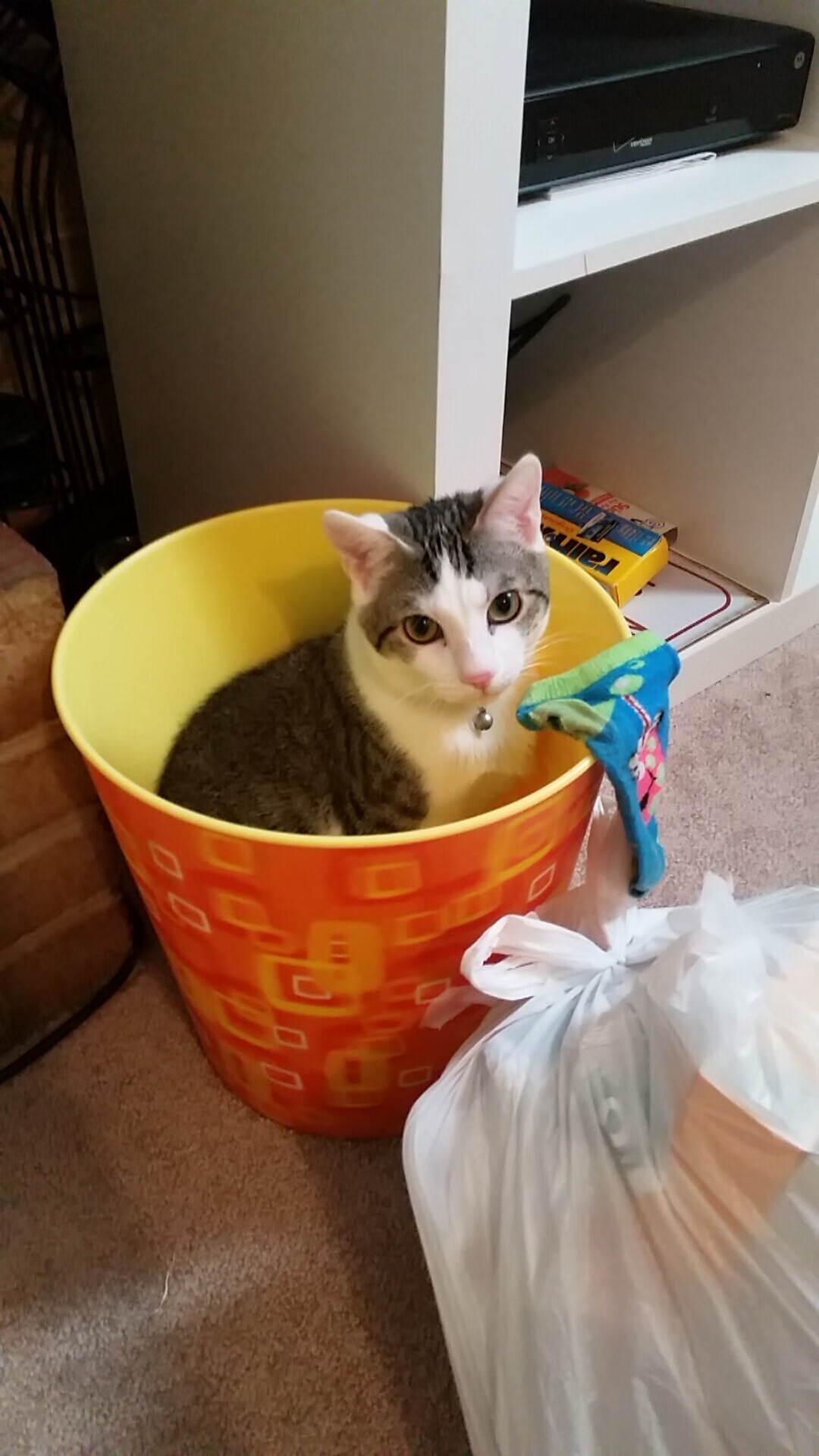 锡安末节狂飙难救主，湖人鏖战险胜马刺