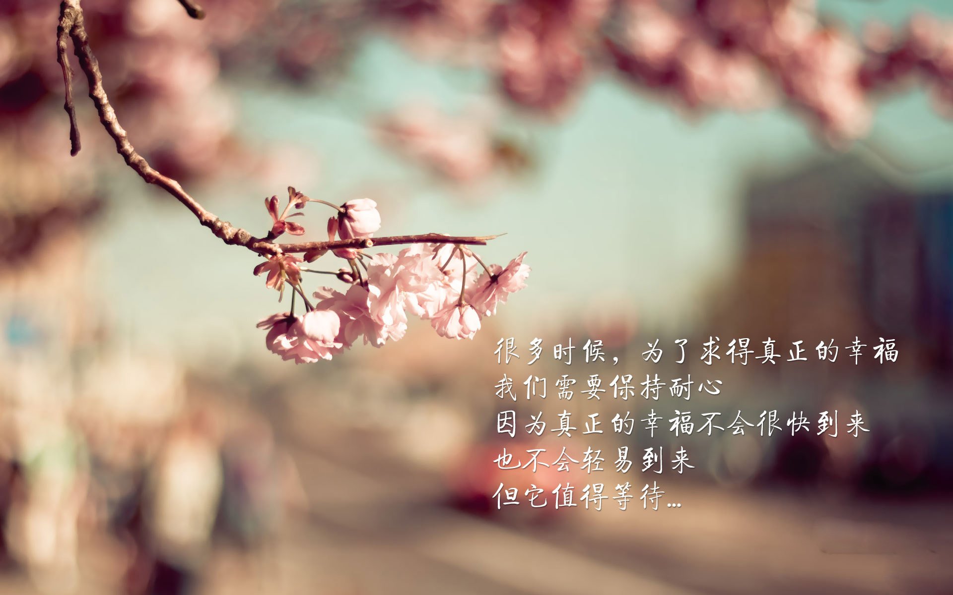 杜兰特狂轰42分，死神镰刀挥落浙江！开拓者晋级之路现曙光